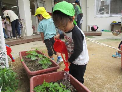 水やりをしている子ども