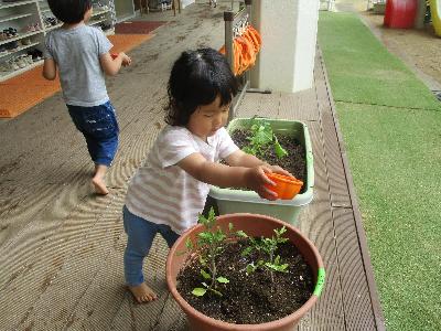 水やりをしている子ども