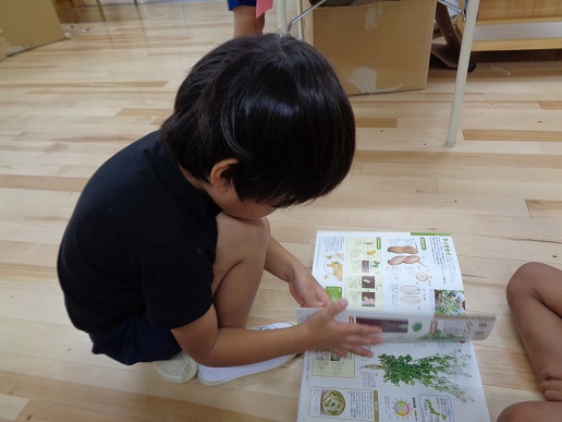 ザクロ、どこだったけ？