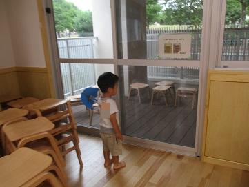 あれ？いない