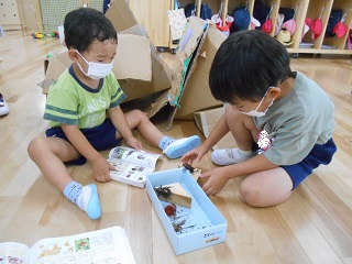 かぶとむし3
