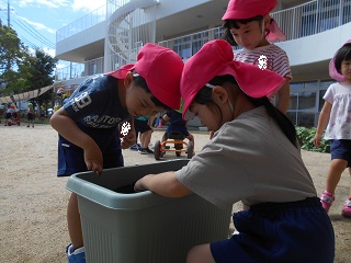 大根２