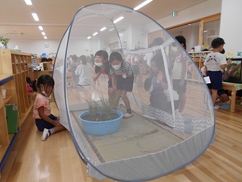 はな組が入る