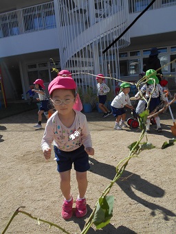 芋１
