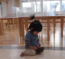 おおきなまつぼっくりと０さいじ