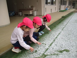 雪4