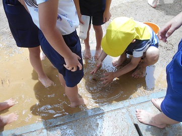 水遊び
