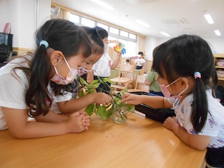 青虫がふわふわ