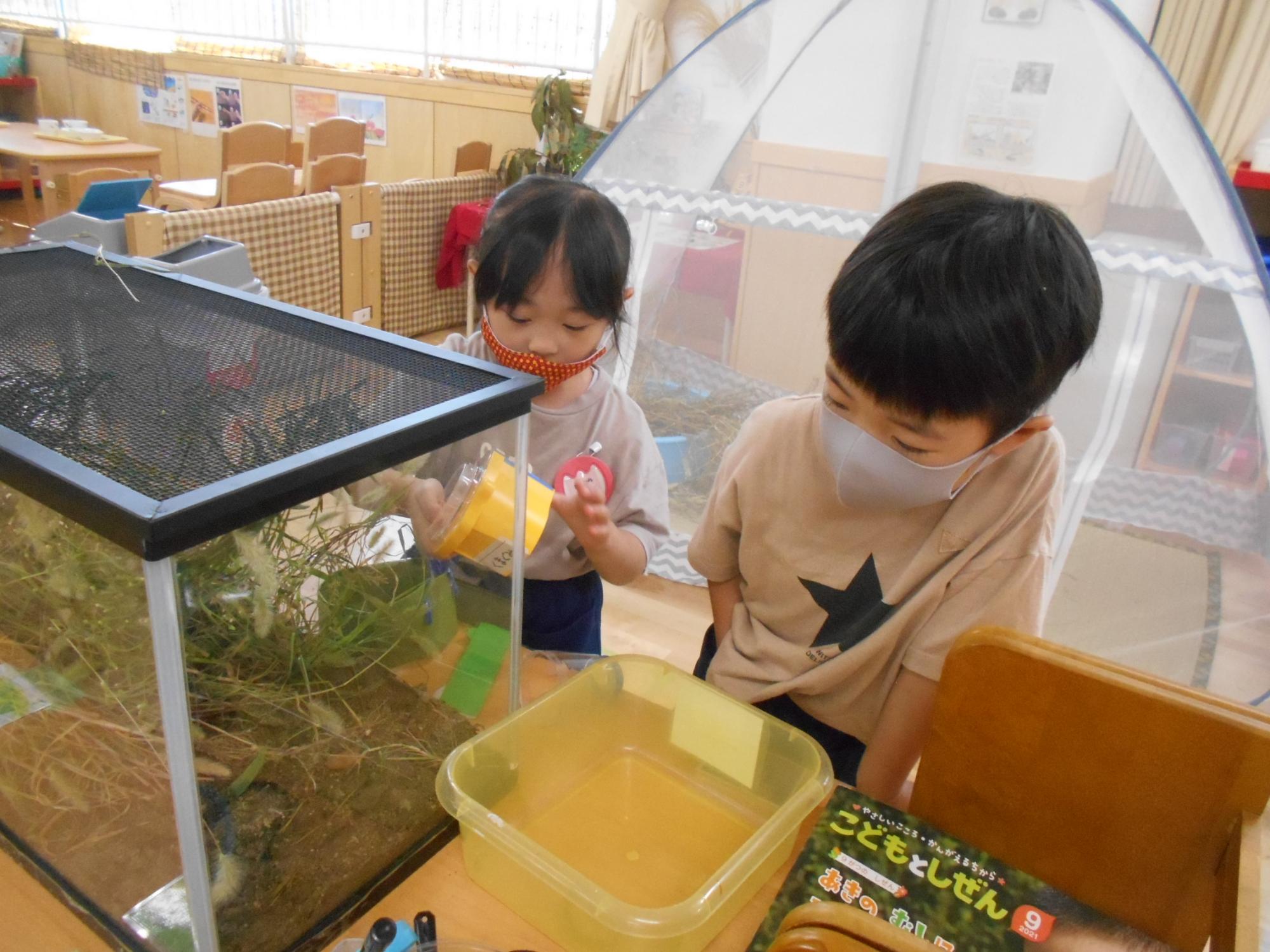 公園10