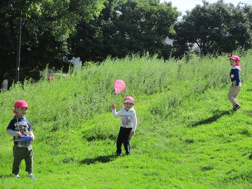 公園4