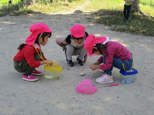 公園5