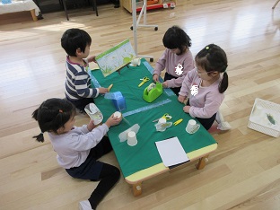 めだか４