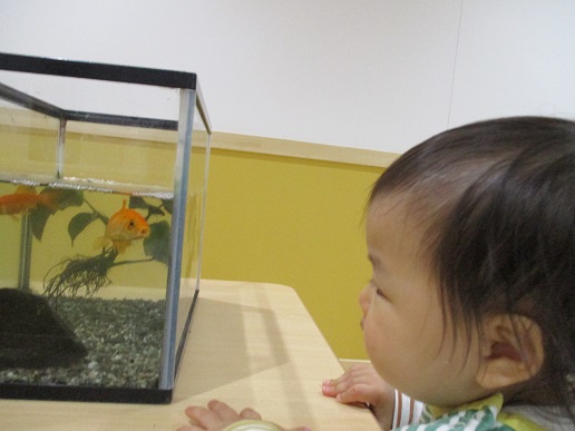 こども園って…5