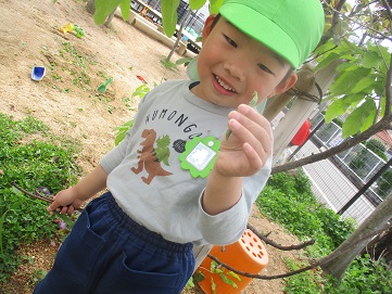 豆
