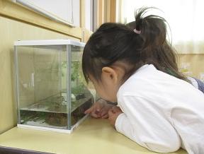 生き物4