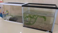 生き物5