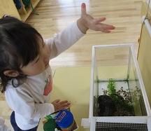 生き物８