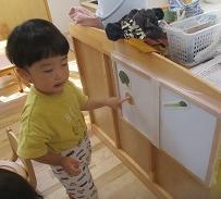 給食６