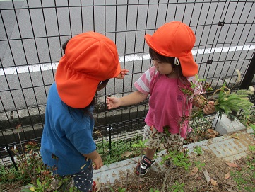 集めたい２