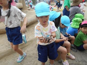 3歳児　土を触る