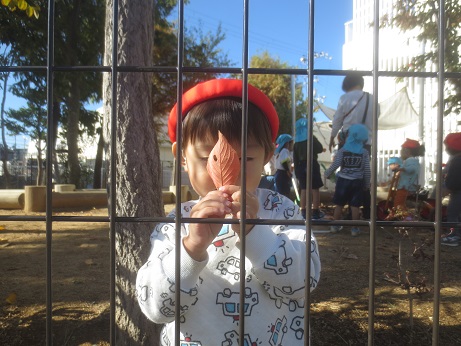 穴の開いた落ち葉