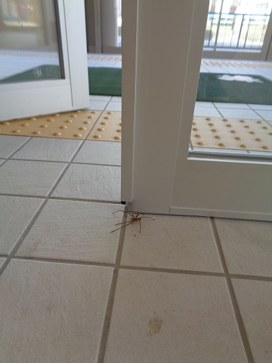 まだいたいよ。