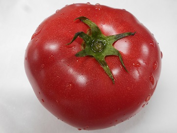 伊丹産トマト