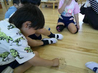 触ってみよう